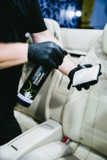 Professional Interior Cleaner +Odex (1)